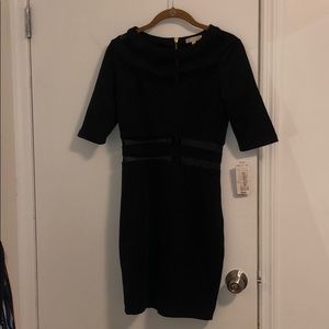 NWT Dress With Sheer Detail